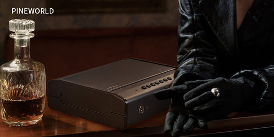 PINEWORLD K5 Biometric Gun Safe for Pistols, 4-Ways Quick Access Handgun Safe with Fingerprint